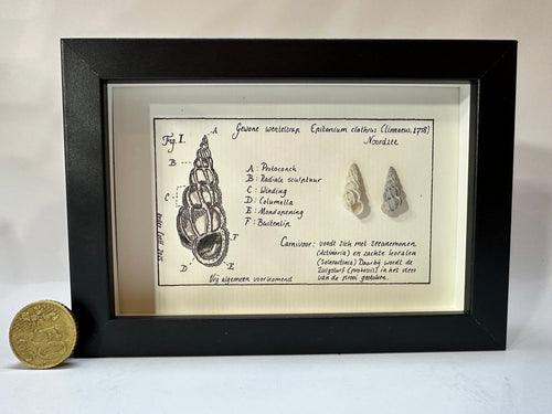 Noordzeekabinetje Wenteltrap