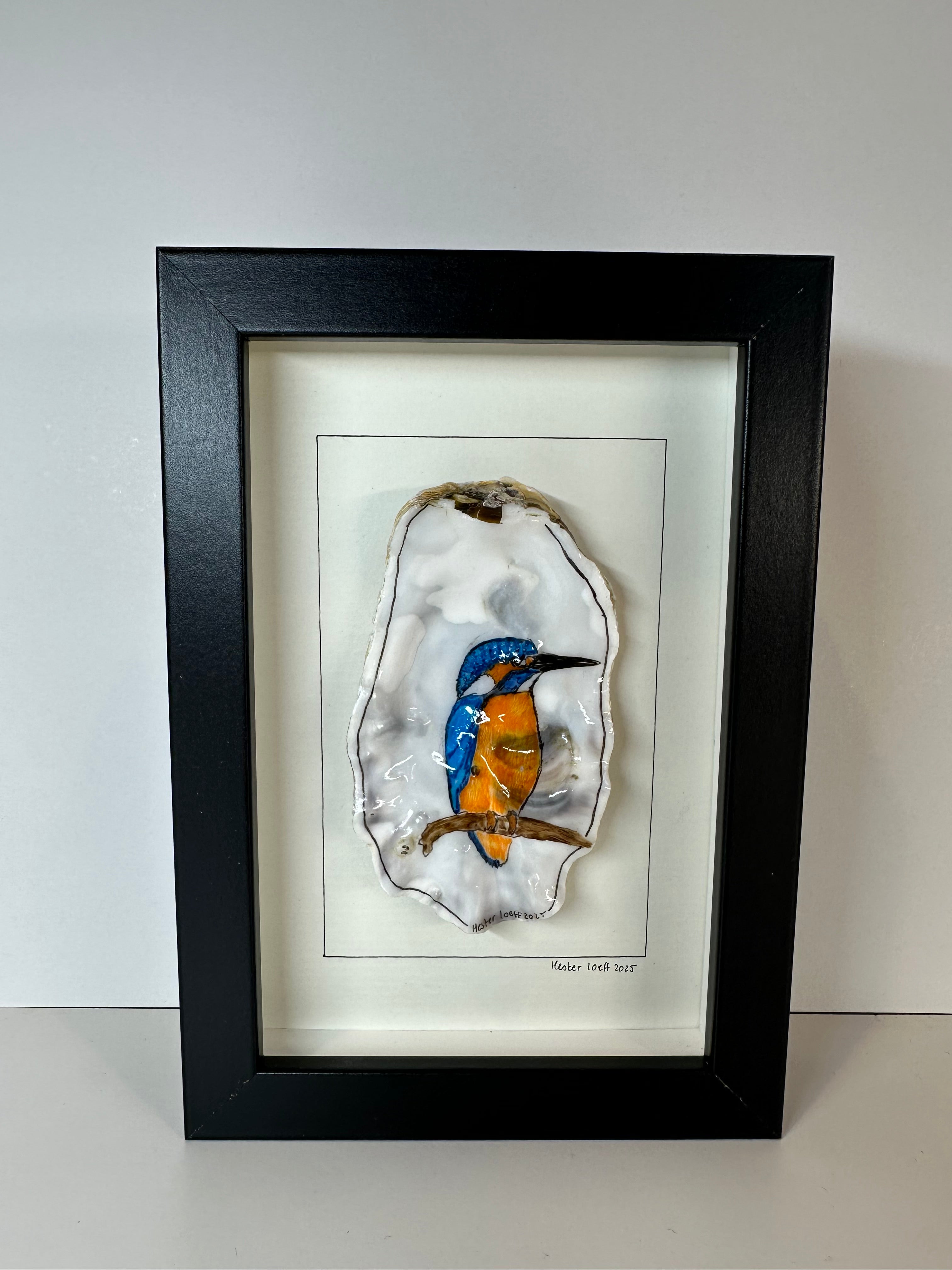 Oesterschelptekening ijsvogel