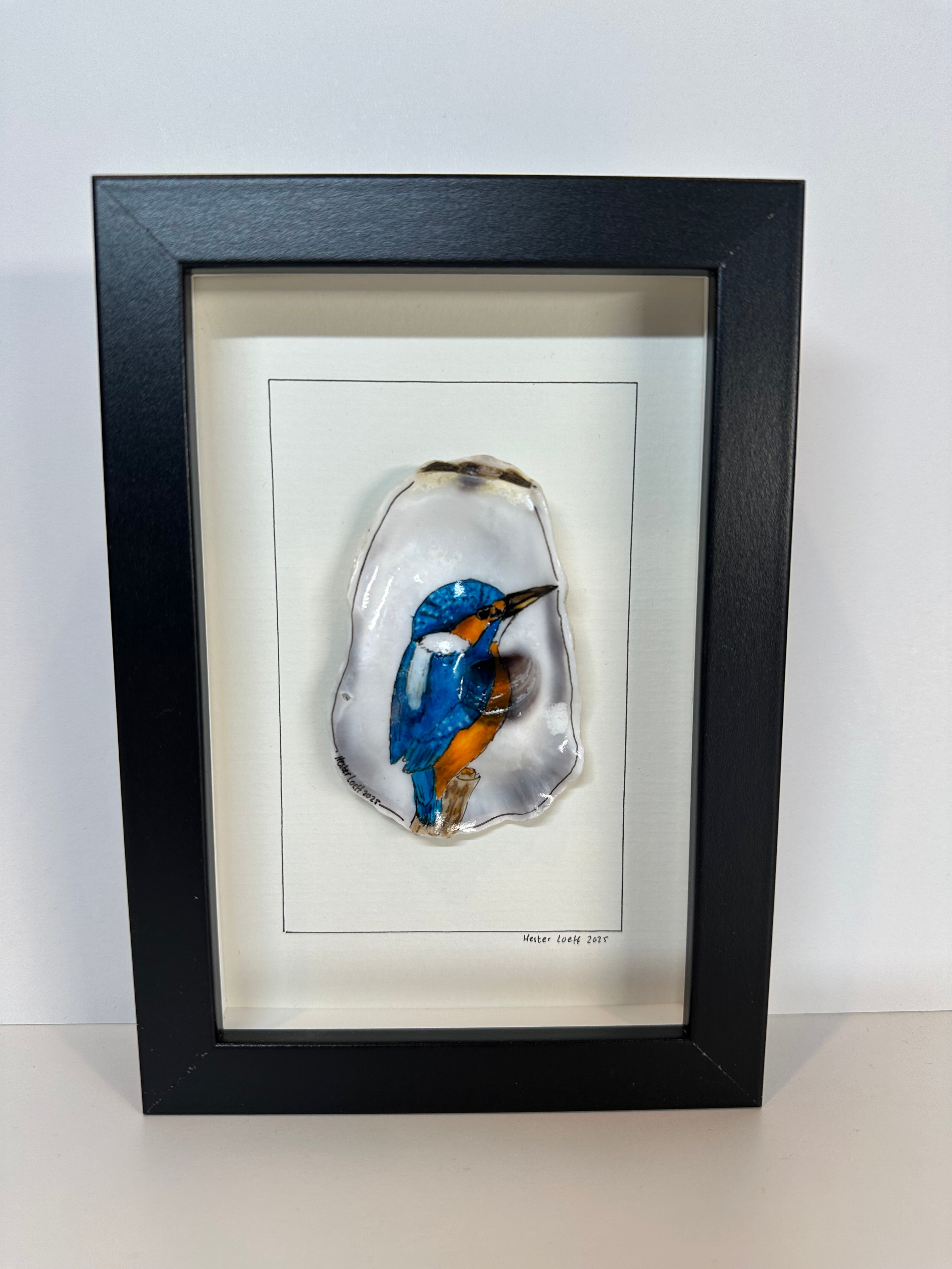 Oesterschelptekening ijsvogel