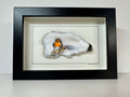Oesterschelptekening roodborst