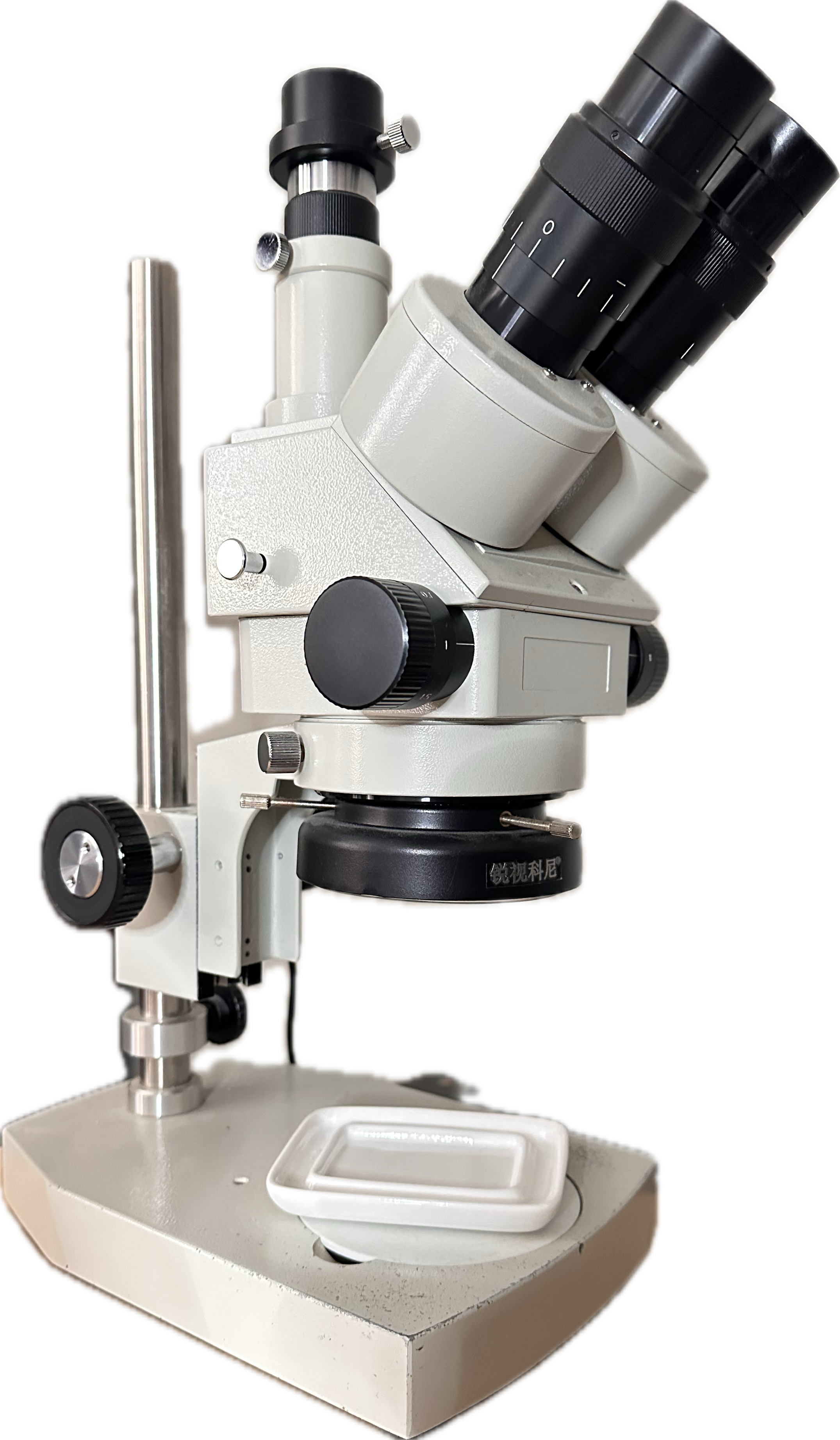 De wondere wereld door de Microscoop